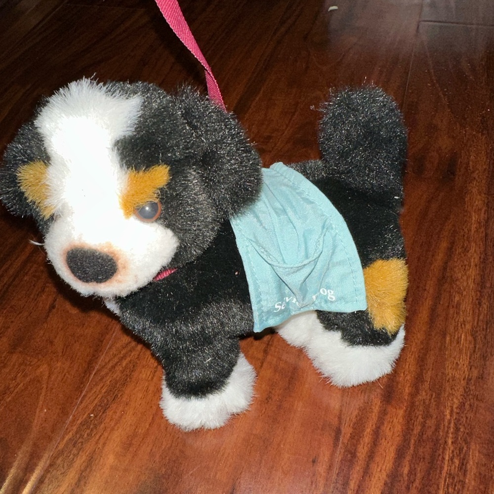 American girl accessories